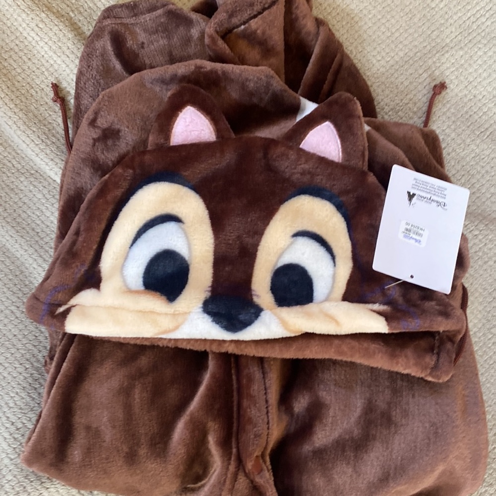 Chip and dale Toyko Disneyland